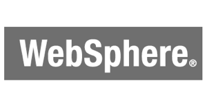 IBM WebSphere Icon
