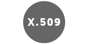 X.509 Icon