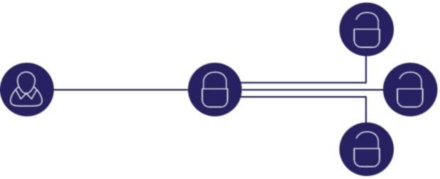 Ceptor Secure IT Infrastructure SSO Illustration